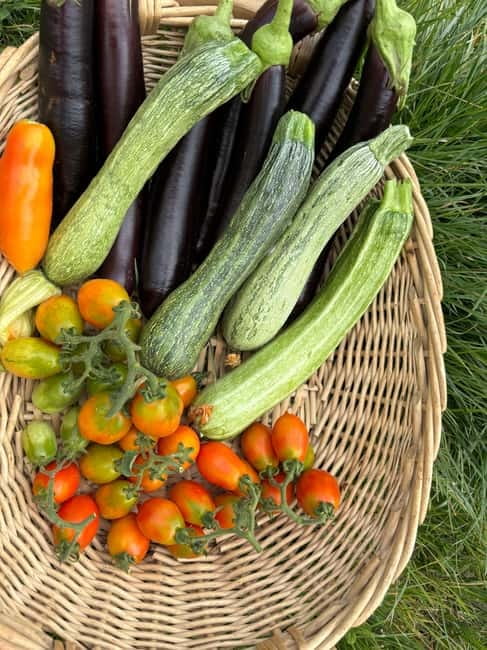 Amalfi Coast: Mozzarella, Pasta and Tiramisù Cooking Class - Price and Value: Is $71 a Fair Deal Here?