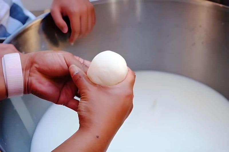 Amalfi: Make Gnocchi, Mozzarella and Tiramisù - The real value: three lessons, wine, and a farm visit for $93