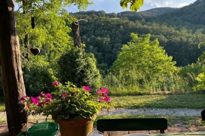 Cooking Class for Pasta Lovers in Florence Country House - How the Market Shopping Really Helps Your Cooking