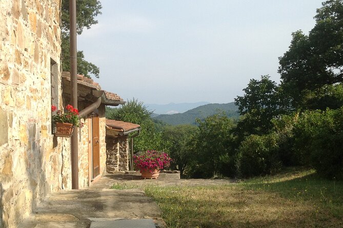 Cooking Class for Pasta Lovers in Florence Country House - Choosing Your Pasta: Ravioli, Lasagne, or Tagliatelle