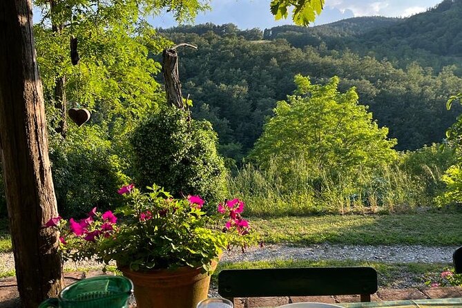 Cooking Class for Pasta Lovers in Florence Country House - How the Market Shopping Really Helps Your Cooking