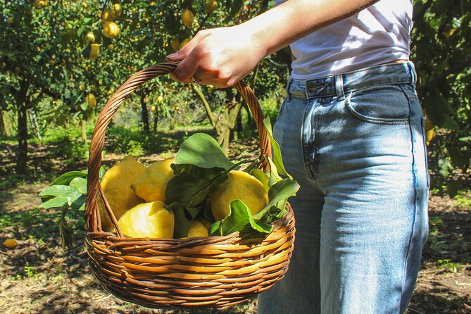 Fresh pasta and Limoncello course in a lemon grove - Key highlights you should care about