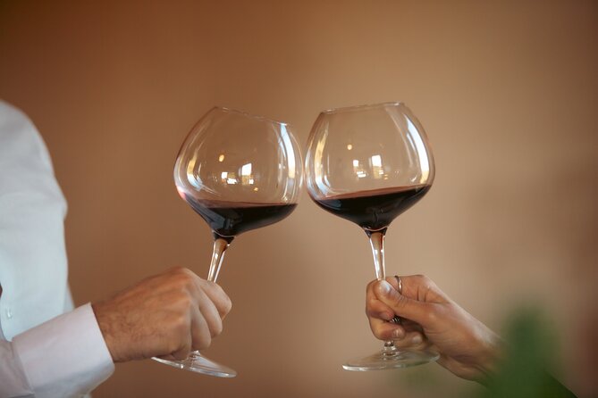 Golden Grains & Gourmet Pasta Cooking Class - Wine, olive oil, and balsamic tasting with your meal