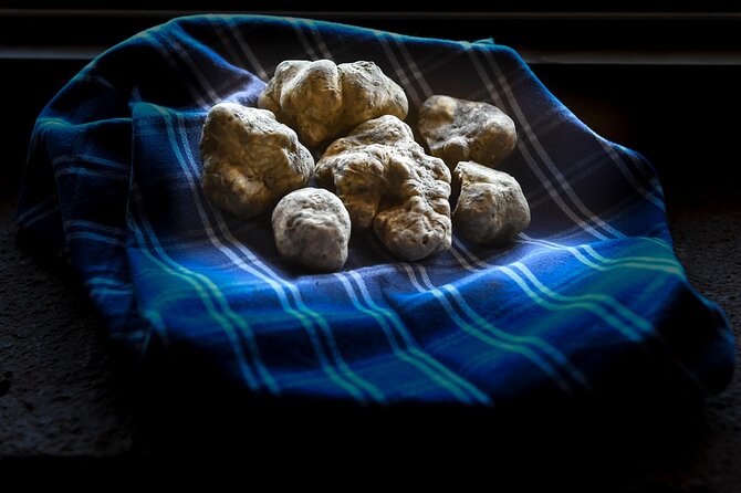 Truffle Hunting and Handmade Pasta in Ascoli Piceno - Meeting Paolo at Agriturismo Ramusè (and what to notice right away)