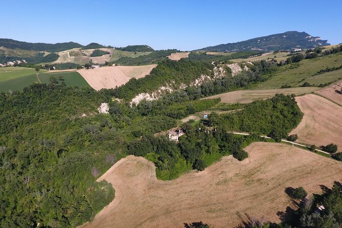Truffle Hunting and Handmade Pasta in Ascoli Piceno - The real value of small group truffle hunting