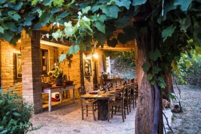 Truffle Hunting and Handmade Pasta in Ascoli Piceno - Into the woods: how the hunt actually feels (about one hour)