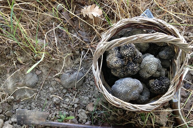 Truffle Hunting and Handmade Pasta in Ascoli Piceno - Lunch at the table: truffle toast, local bites, and sparkling wine