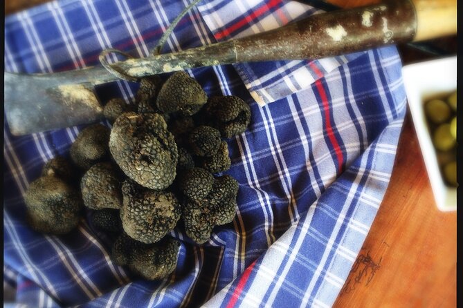 Truffle Hunting and Handmade Pasta in Ascoli Piceno - What to wear (and what to skip) for this 10:30 outdoor schedule