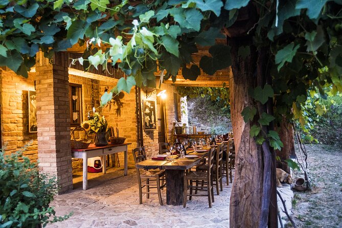 Truffle Hunting and Handmade Pasta in Ascoli Piceno - Into the woods: how the hunt actually feels (about one hour)