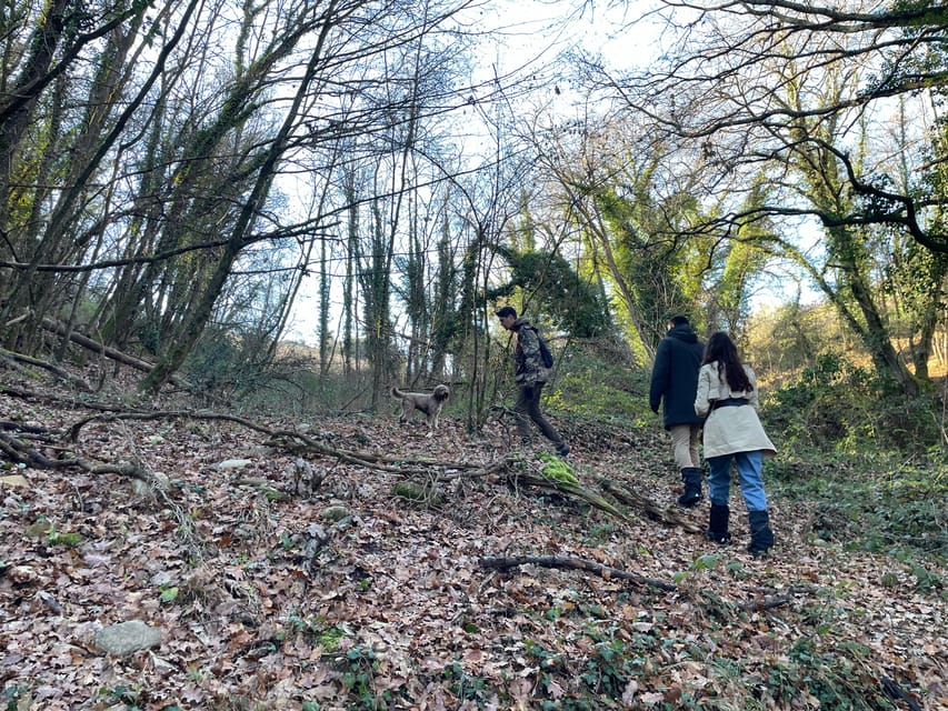 Truffle hunting in Chianti with pasta cooking class & lunch - Key Points to Know Before You Go