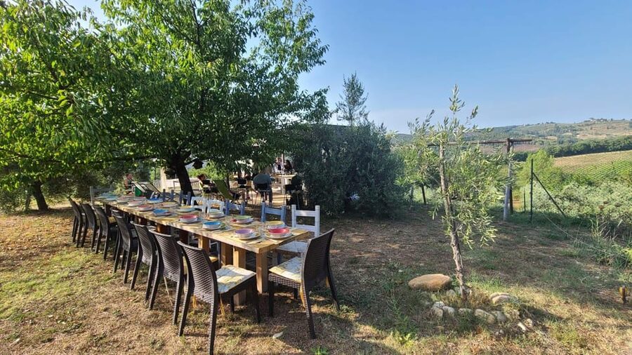Truffle hunting in Chianti with pasta cooking class & lunch - Small Family Farm Energy: Why the Hosting Style Matters