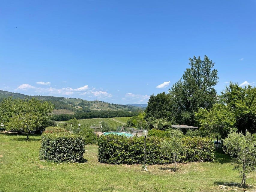 Truffle hunting in Chianti with pasta cooking class & lunch - Chianti Truffle Hunting and Pasta: What This Day Really Feels Like