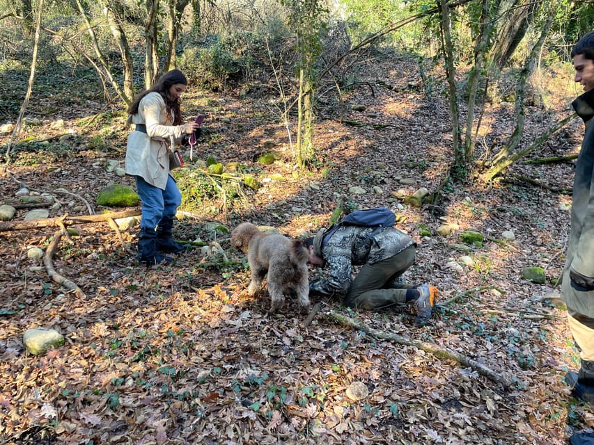Truffle hunting in Chianti with pasta cooking class & lunch - The 10:30 Morning Schedule and How Heat Affects Your Hunt