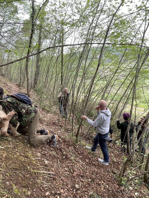 Truffle hunting in Chianti with pasta cooking class & lunch - The Forest Hunt: How a Lagotto Dog Changes Everything